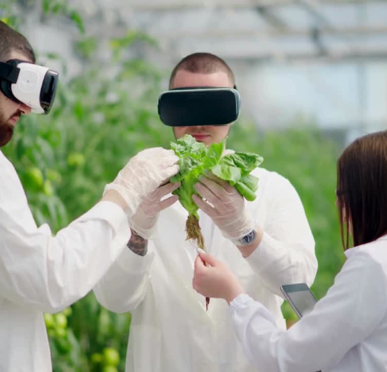 Growing The Future: Smart Solutions For Sustainable Agriculture