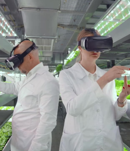 Pioneering Sustainable Agriculture in Morocco Since 2022