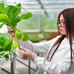 Pioneering Sustainable Agriculture in Morocco Since 2022