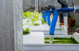 Water-Saving Technologies in Hydroponics: What You Need to Know