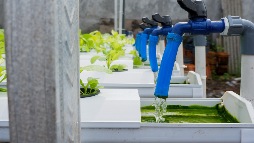 Water-Saving Technologies in Hydroponics: What You Need to Know