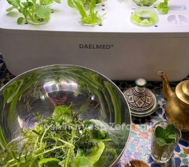 Your Kitchen, Reimagined: Introducing the HydroGrow Mini Kit by DAELMED®