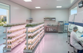 Expanding AgriTech Frontiers: DAELMED® Introduces Advanced Plant Tissue Culture Units with Superior Thermal Insulation