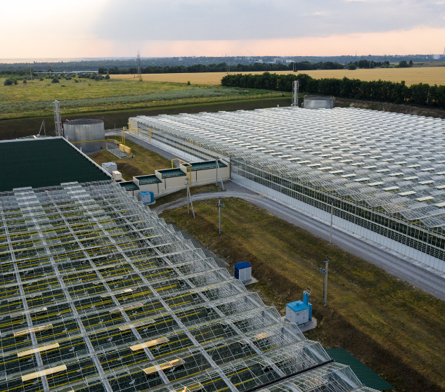 Hydroponic Innovation for Sustainable Agriculture.